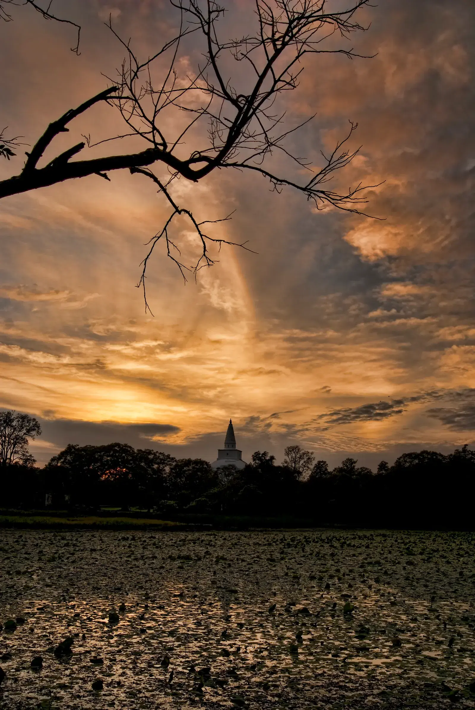 Sunset over the ancient city of Anuradhapura