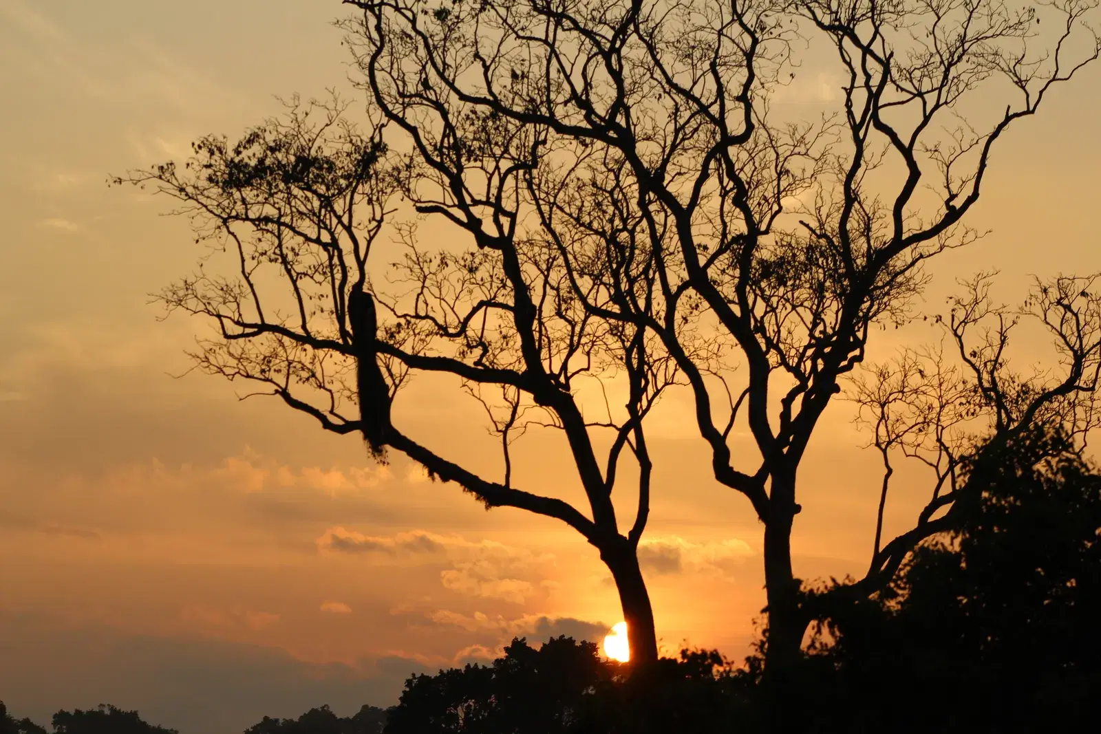Sunset over Kumana National Park