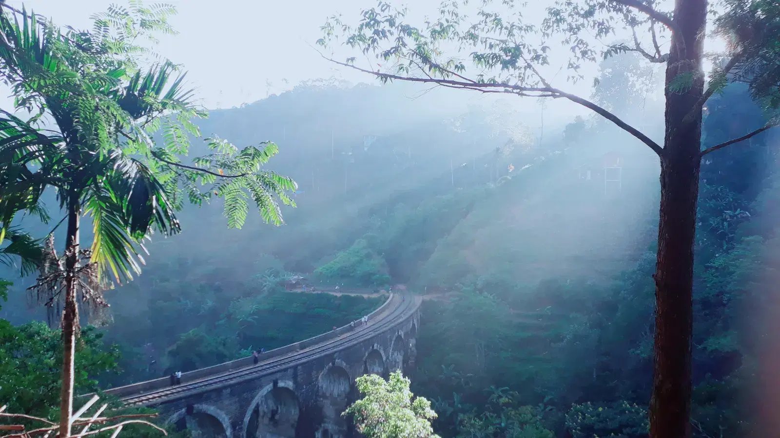 Nine Arches Bridge in Ella with a train crossing between tea-covered hills