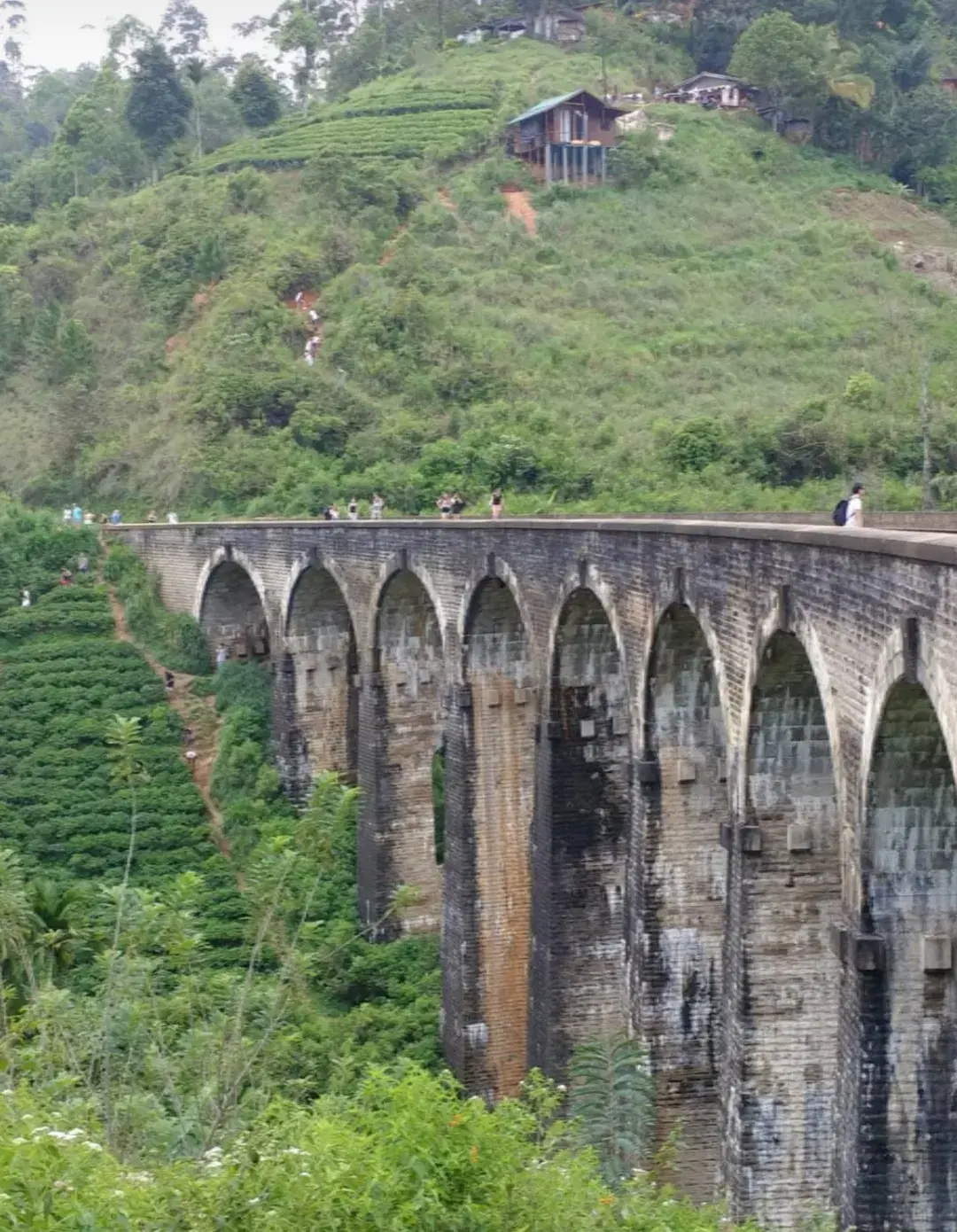 Nine Arches Bridge viewed from the forest below