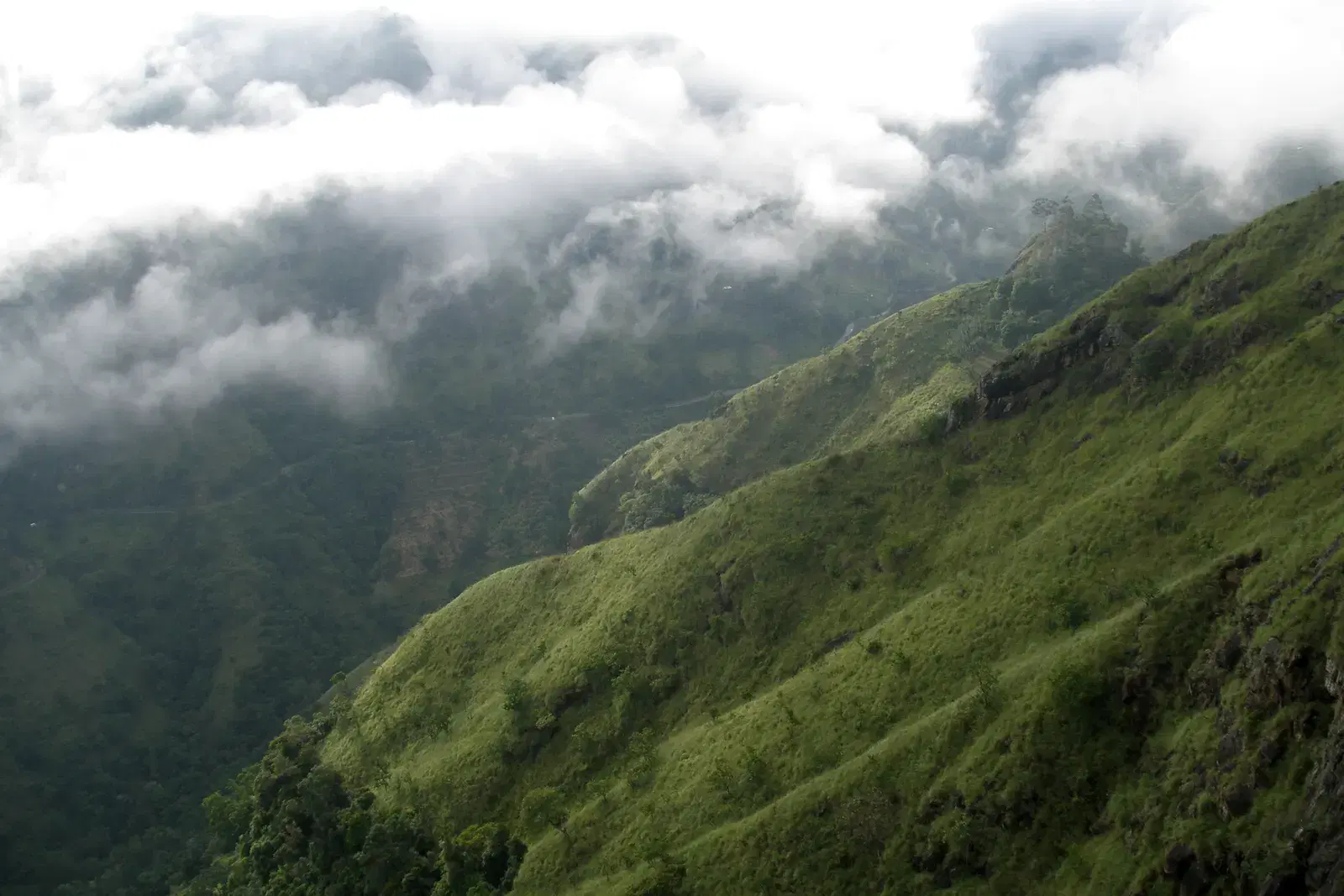 Ella valley shrouded in clouds, seen from a hillside viewpoint