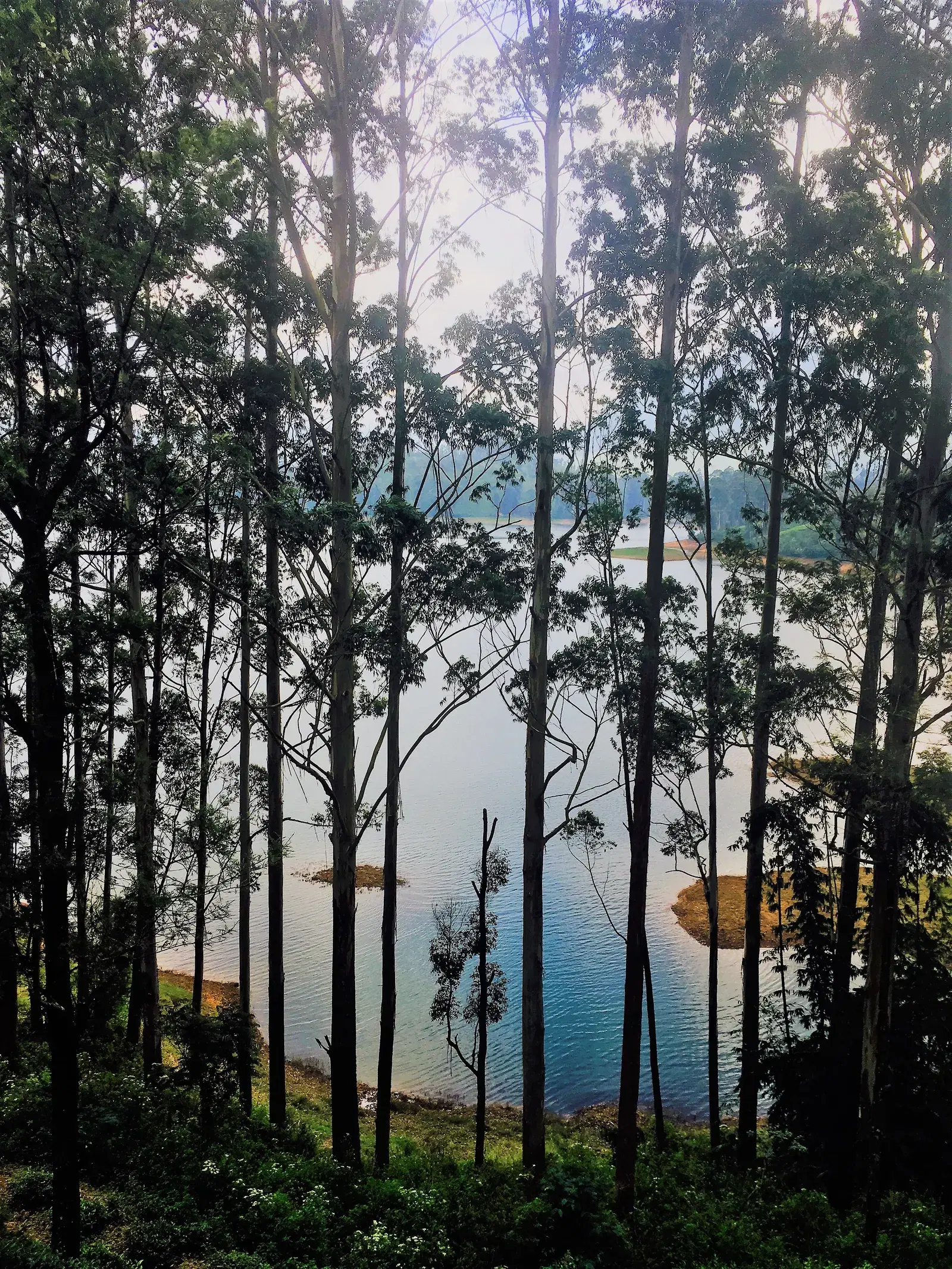 Maskeliya Reservoir near the base of Adam's Peak