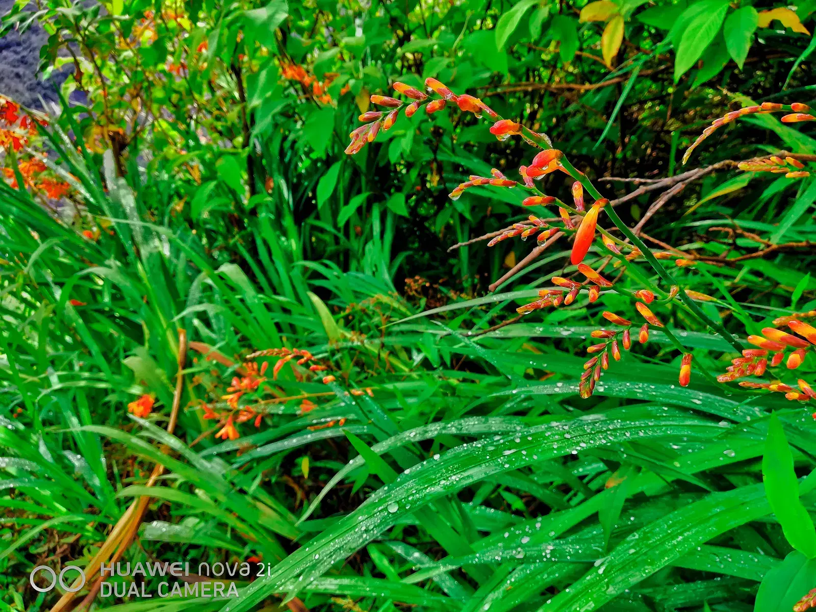 The Peak Wilderness Sanctuary surrounding Adam's Peak