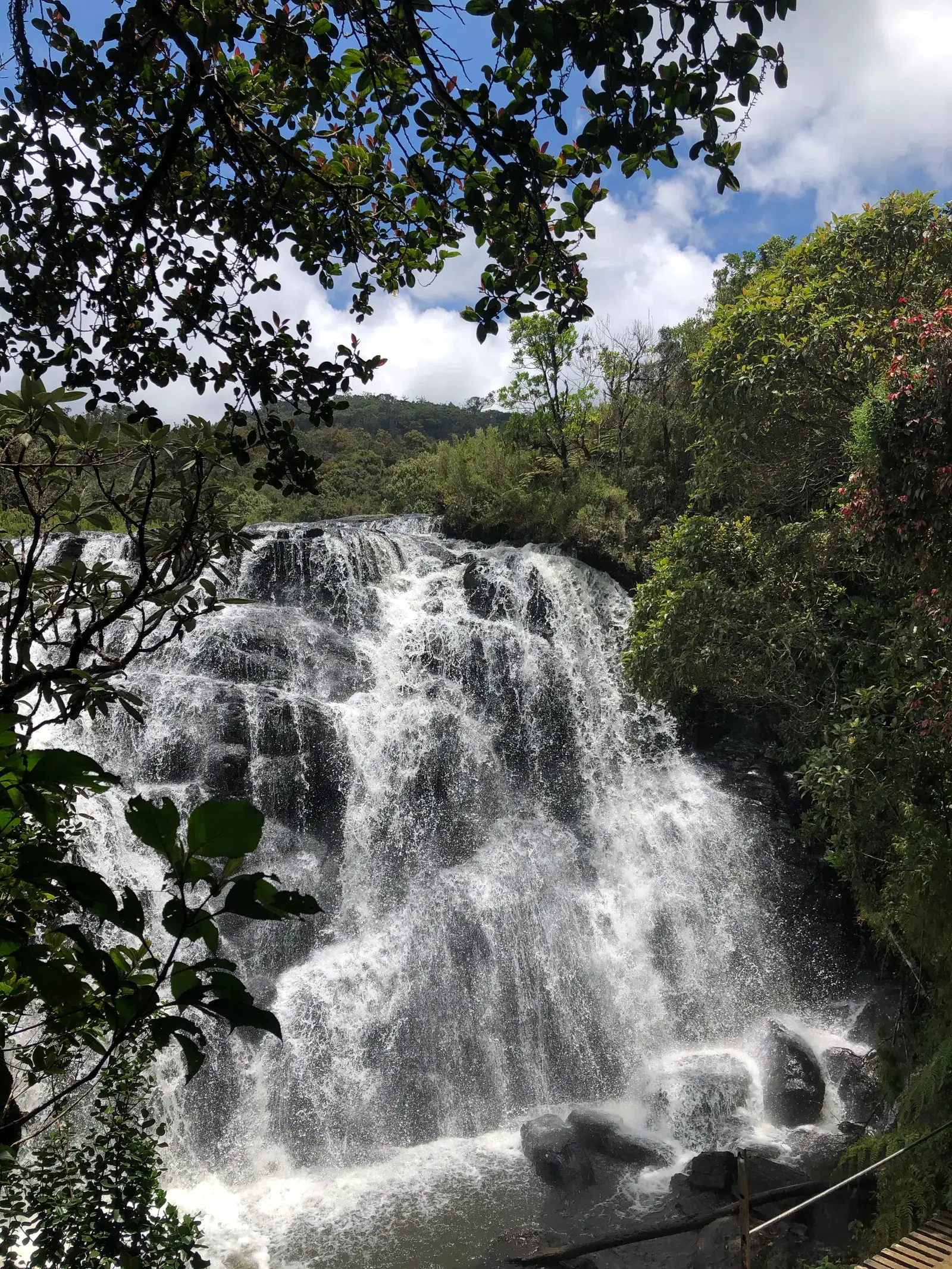 Baker's Falls cascading through the cloud forest in Horton Plains