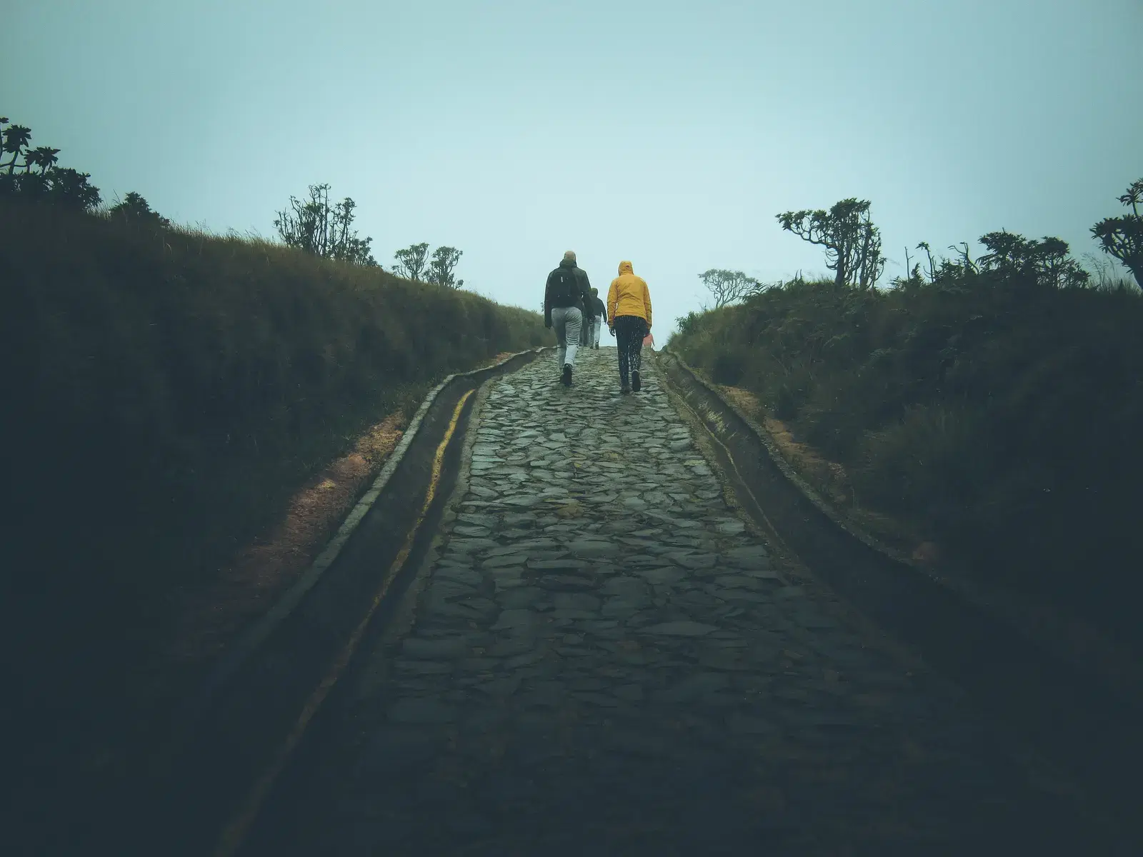 Mist settling over the trail in Horton Plains National Park