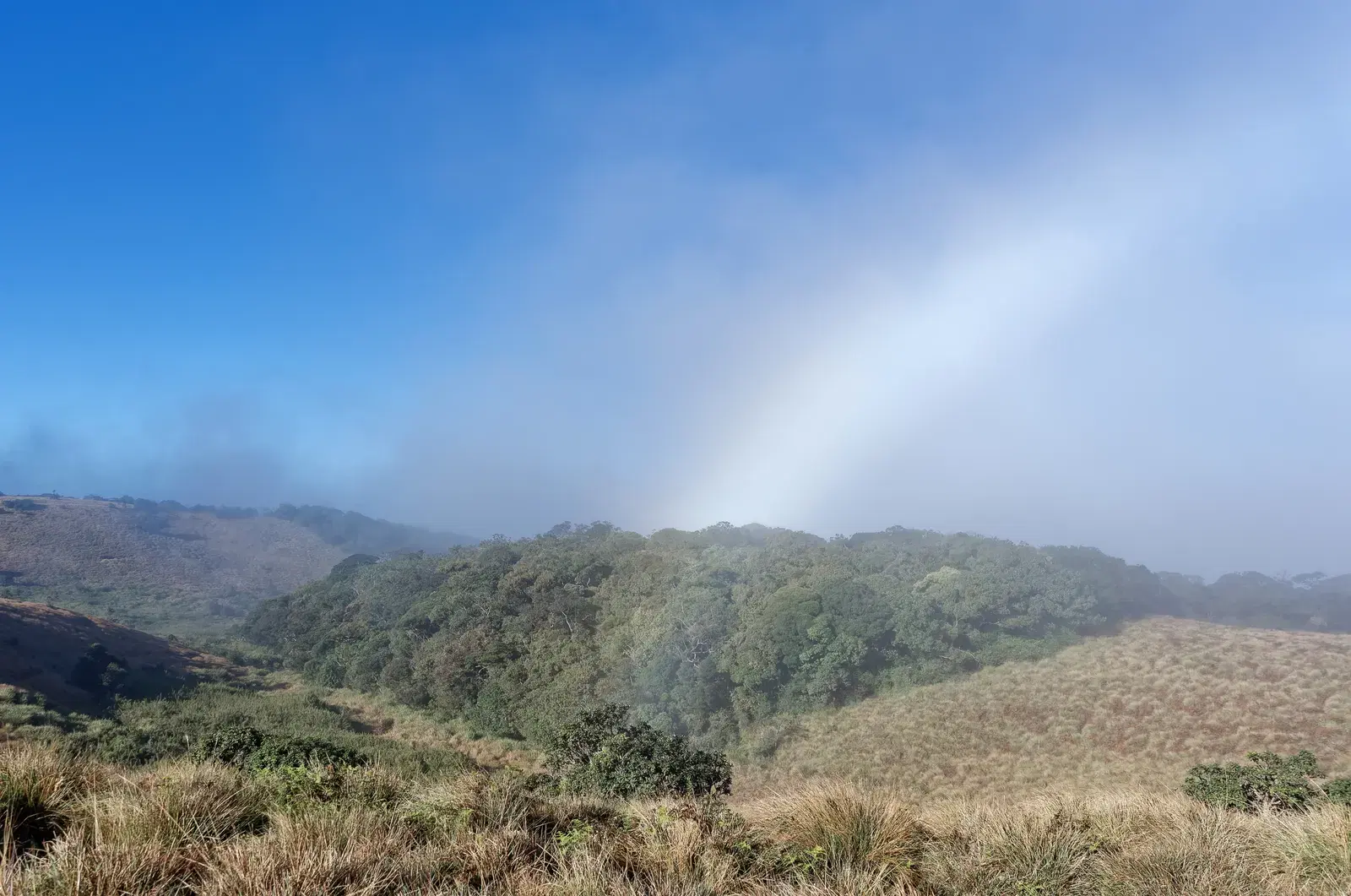 Early morning light over Horton Plains National Park