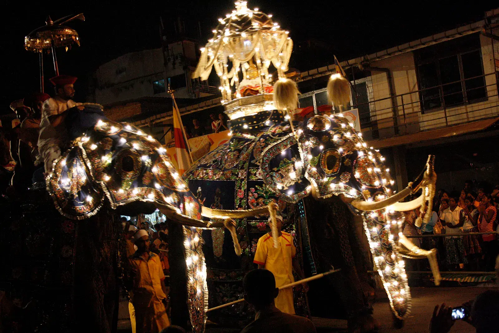 Decorated elephants in the Kandy Esala Perahera procession
