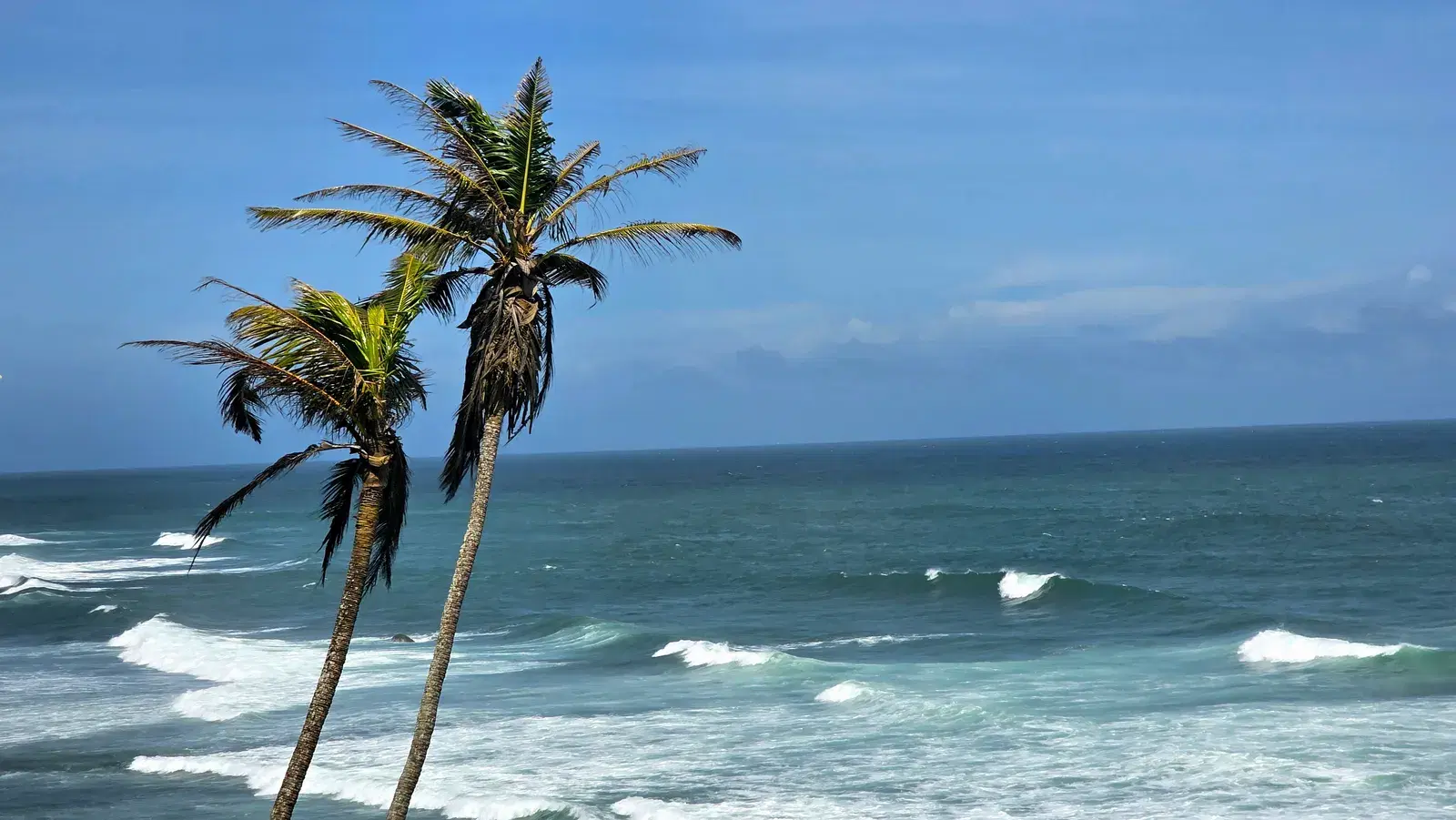 Coconut Tree Hill overlooking the coastline near Mirissa