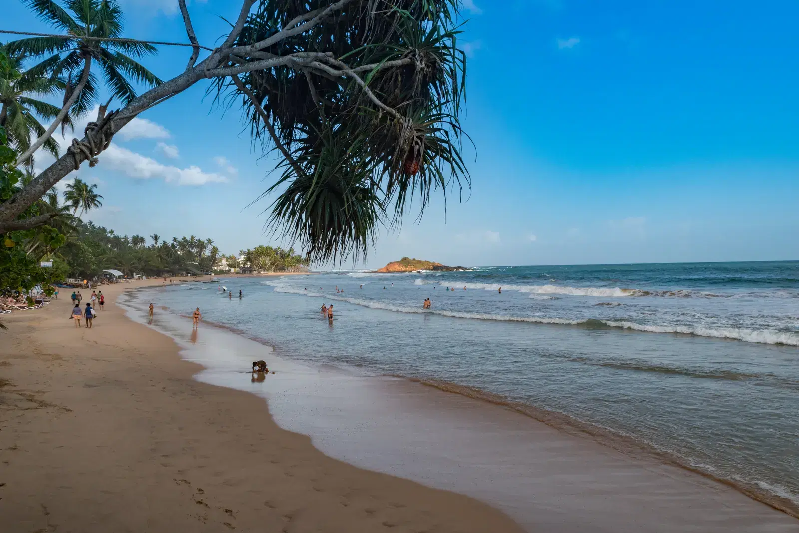 Mirissa's curved sandy beach