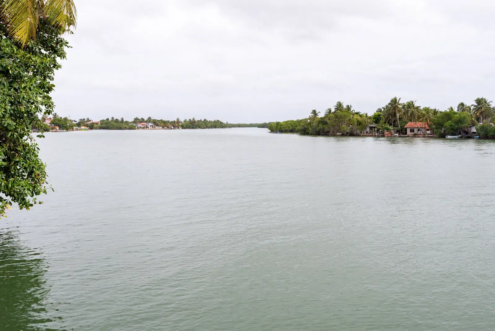 Negombo Lagoon, a natural harbour on Sri Lanka's west coast