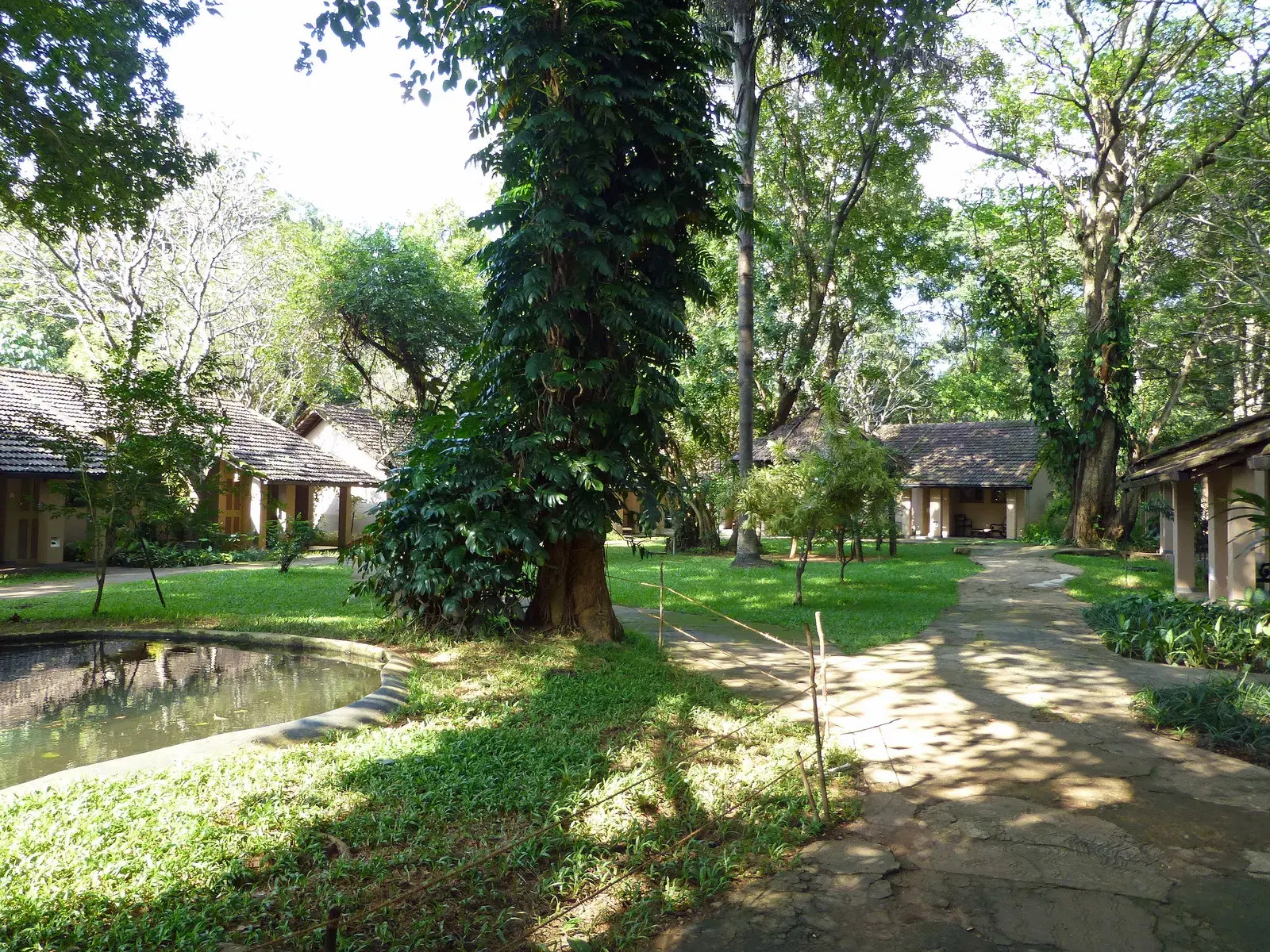 Sigiriya village and surrounding countryside near the rock