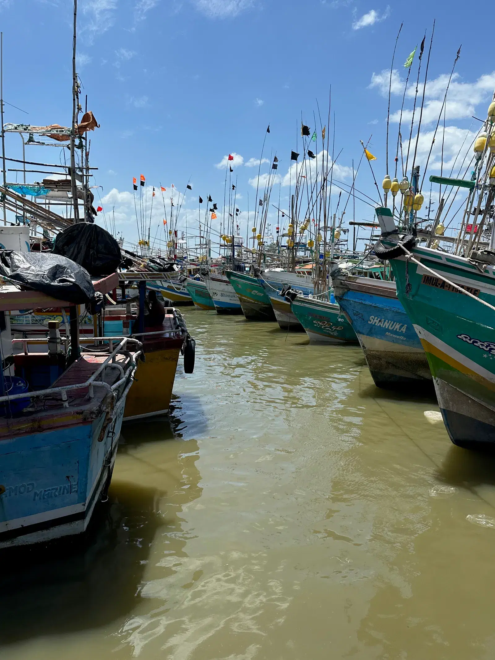 The fishing harbour at Tangalle