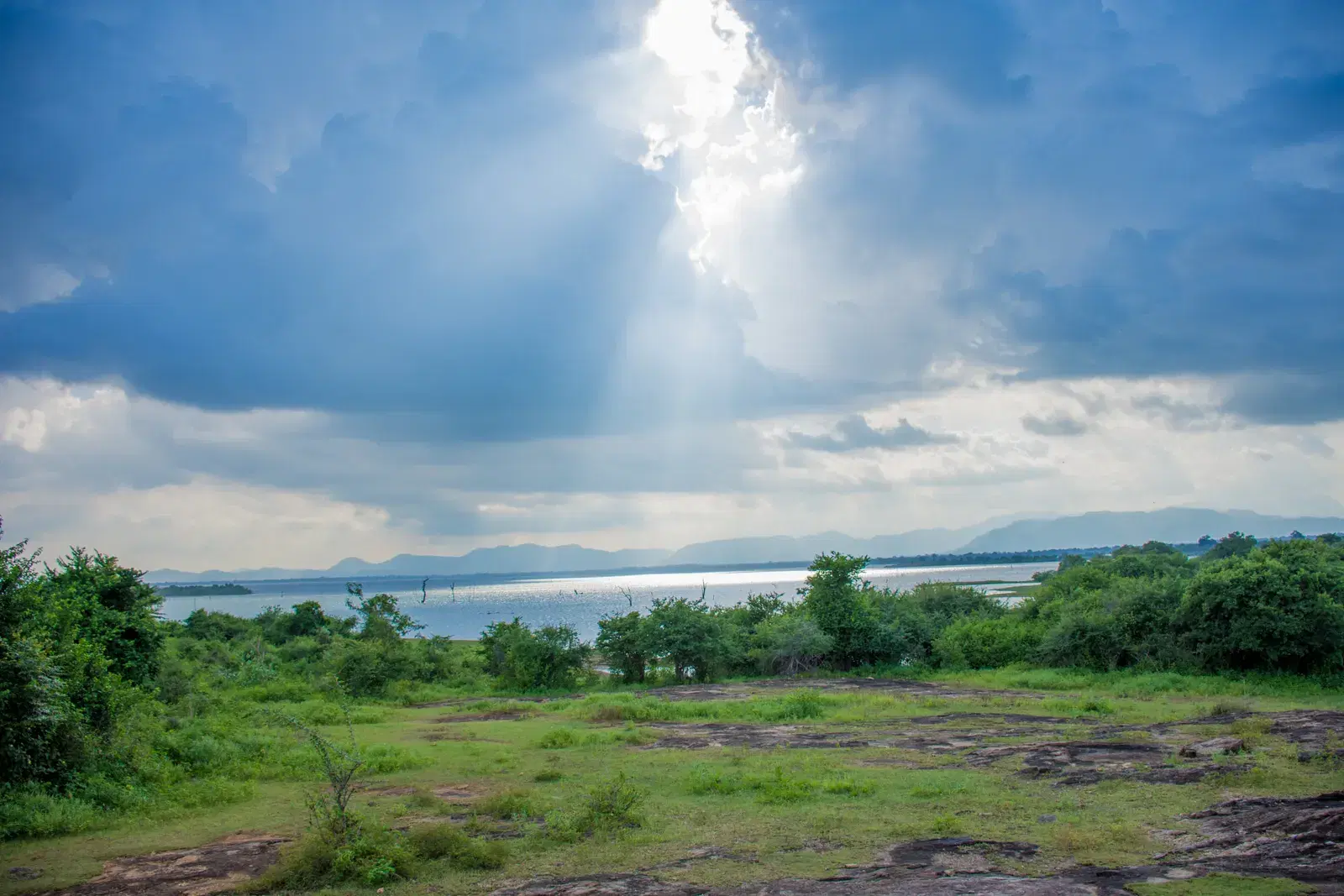 The open grassland landscape of Udawalawe National Park