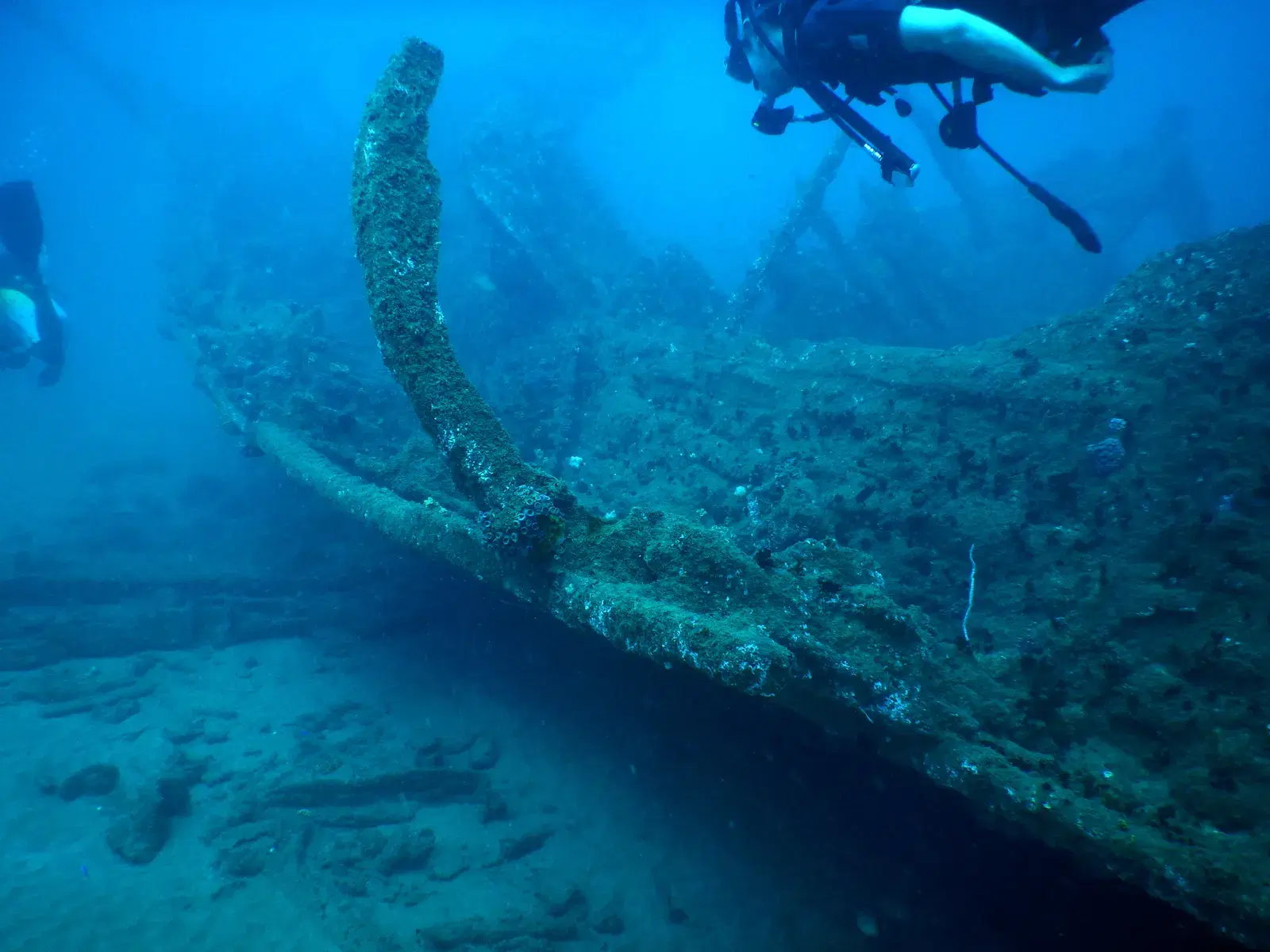 Coral reef visible while snorkeling off Unawatuna beach
