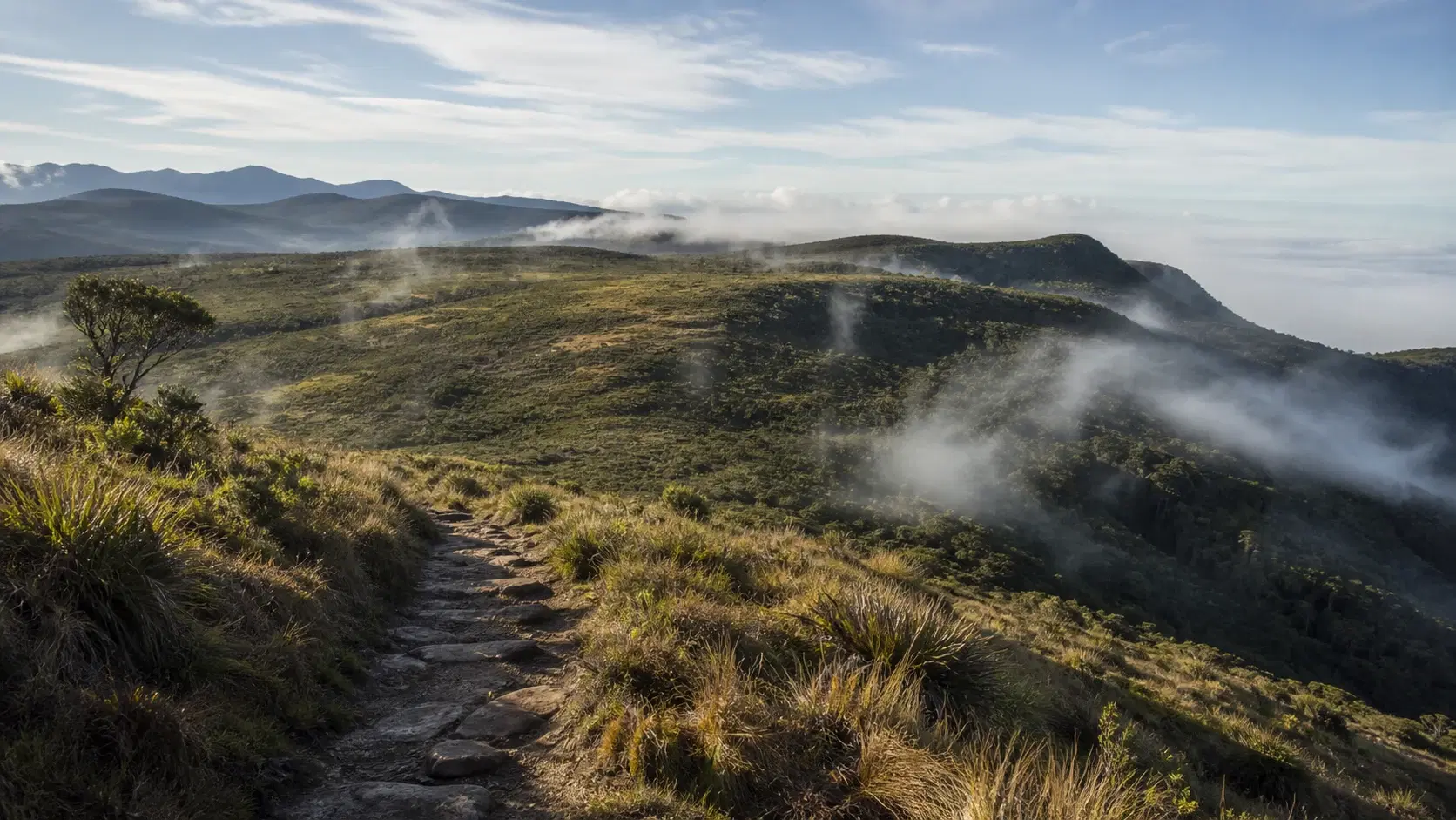 Pekoe Trail Stage 10 in 2026: Dayagama to Horton Plains, the Most Expensive and Most Logistically Difficult Stage on the Trail