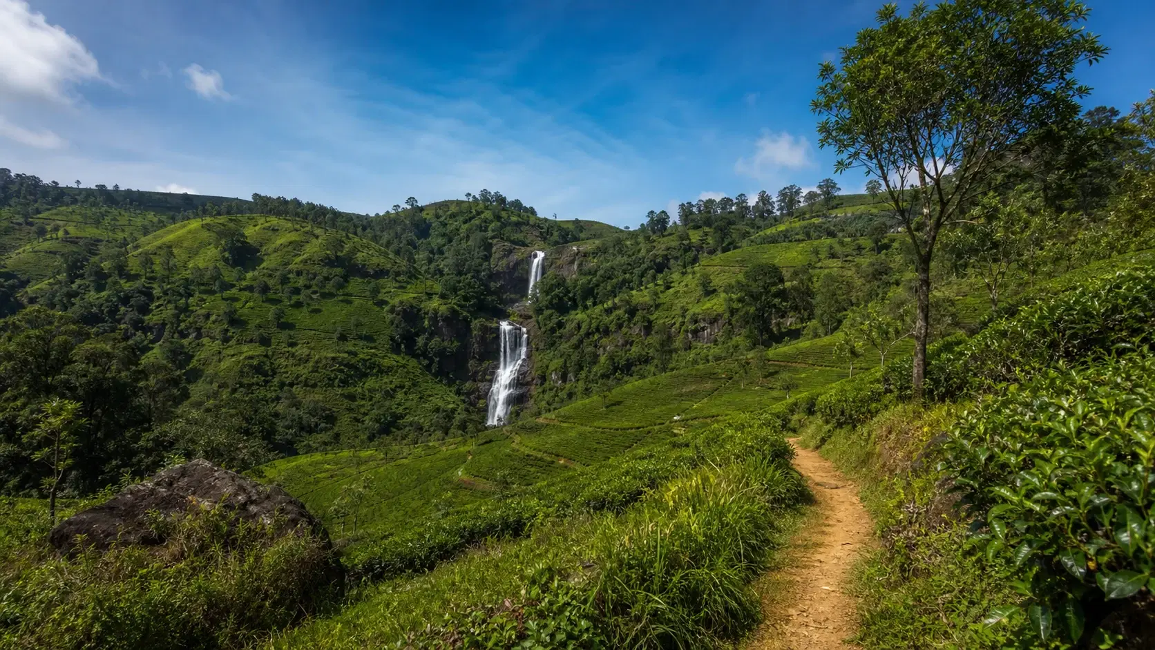 Pekoe Trail Stage 6 in 2026: Watagoda to Kotagala, Three Railway Crossings and Two of Sri Lanka's Great Waterfalls