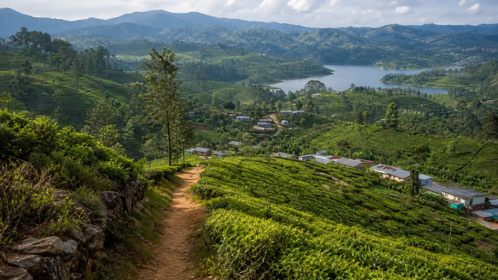 Pekoe Trail Stage 7 in 2026: Kotagala to Norwood, the Stage That Deliberately Bypasses Hatton