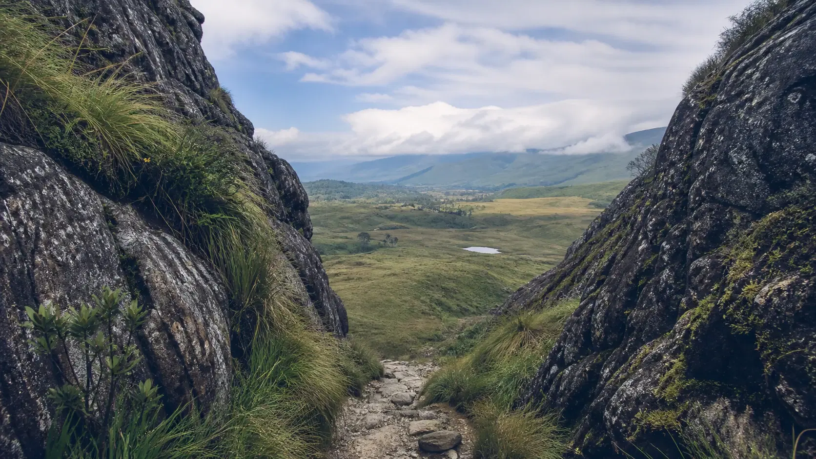 Pekoe Trail Stage 9 in 2026: Bogawantalawa to Dayagama, Through Jacob's Ladder Into a Hidden Valley of Dairy Farms